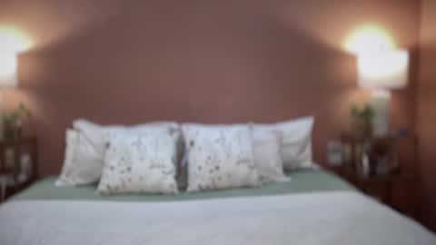 Swedish Candii online show from 02.25.26