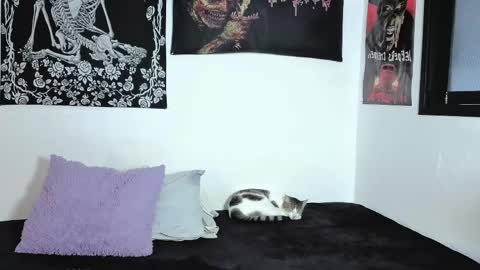 Natasha  independent modelo online show from 04.06.26