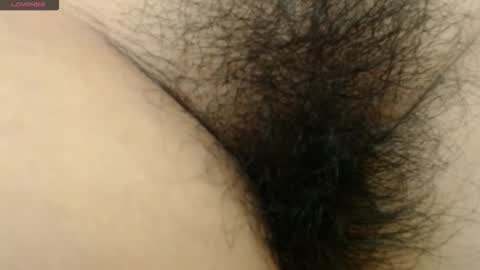 Barbara online show from 12.18.25