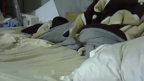 Bellah online show from 03.08.26