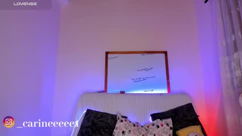 camil online show from 12.17.24