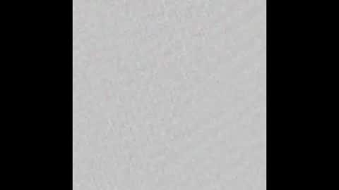 Nicol online show from 01.10.26