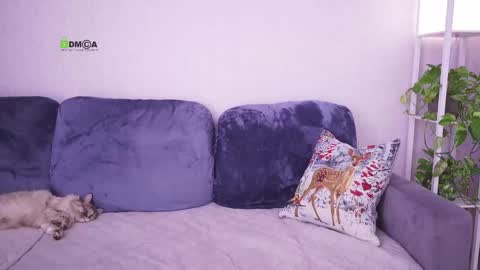 Vicktorious online show from 02.24.25