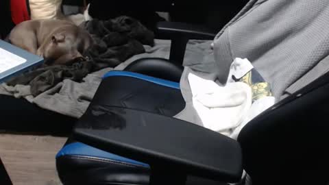 Snapshot of sweetgesus chatting on 11.06.25 sweetgesus online show from 11.06.25