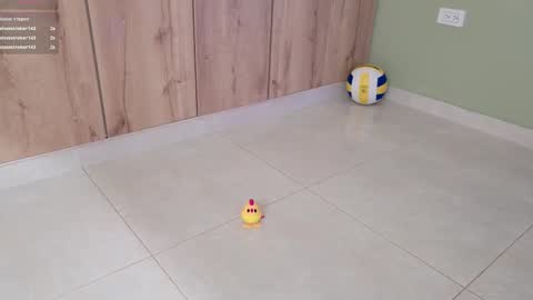    online show from 02.11.25