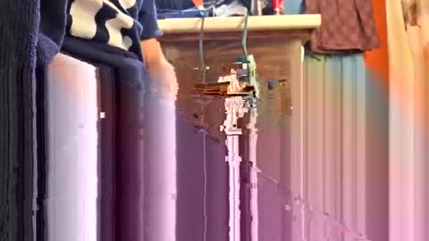 swinginghammer1987 online show from 04.11.26