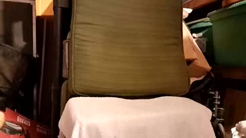 syevecrl online show from 02.19.26