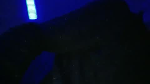 sylvauvert70 online show from 01.18.26