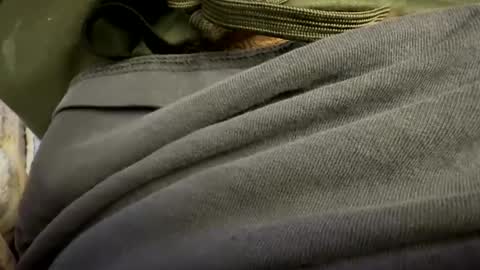 tRex online show from 10.24.25