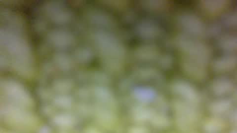 Snapshot of t__o__m__m__y__2323 chatting on 05.29.26 Prostate Orgazmer online show from 05.29.26