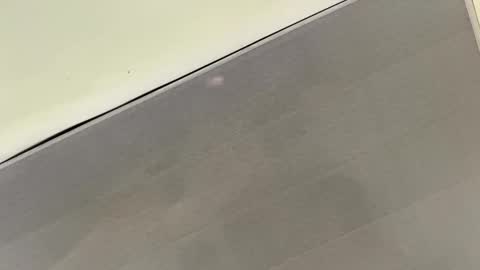 tali  online show from 11.01.25