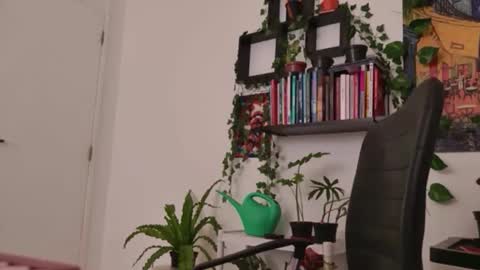 Tali Majid online show from 01.06.26