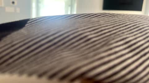 talk2me818 online show from 01.02.25