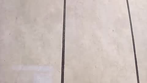 tall6feet7inch online show from 10.06.25