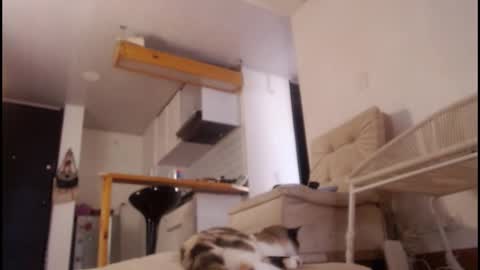 Tamara online show from 03.15.26