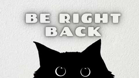 Rousaly online show from 02.11.26