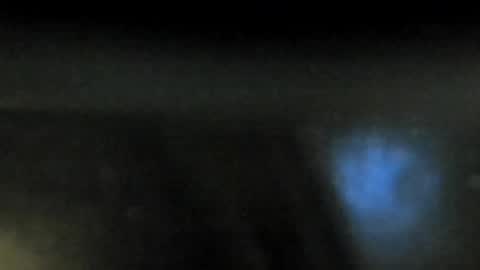 Tamara Aniston online show from 09.25.25