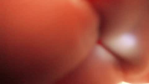 Tamara. online show from 09.10.25