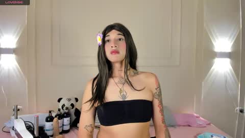 Tammy  online show from 04.12.26