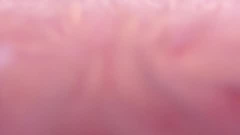 Snapshot of tamy_ian chatting on 01.31.25 Tamy ian online show from 01.31.25