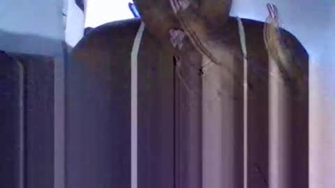 Snapshot of tanaya1 chatting on 10.10.25 Tanaya1 online show from 10.10.25