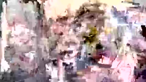 Tara online show from 11.19.25