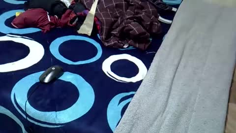 tastie_t online show from 11.01.25