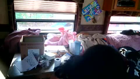 Snapshot of tastycakes999 chatting on 11.18.25 tastycakes999 online show from 11.18.25