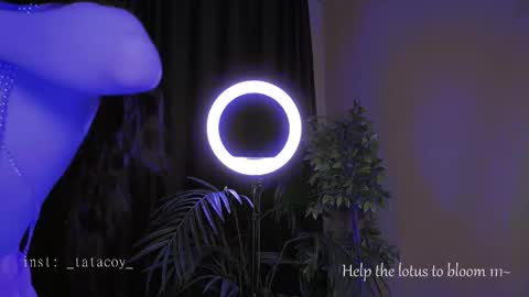 Snapshot of tatacoy chatting on 10.30.25 TataCoy online show from 10.30.25