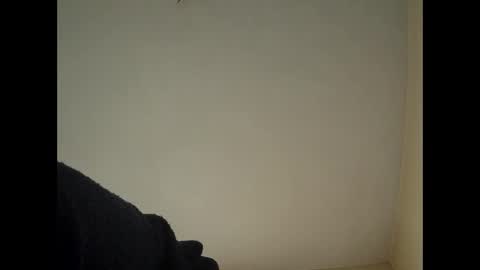 Beliqnegar online show from 02.14.26