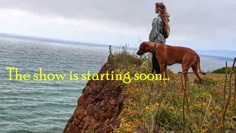 Snapshot of tatum__kahlo chatting on 10.23.25 TATUM ALL MY LINKS online show from 10.23.25