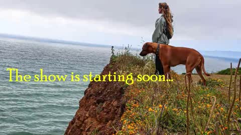 Snapshot of tatum__kahlo chatting on 03.15.26 TATUM ALL MY LINKS online show from 03.15.26