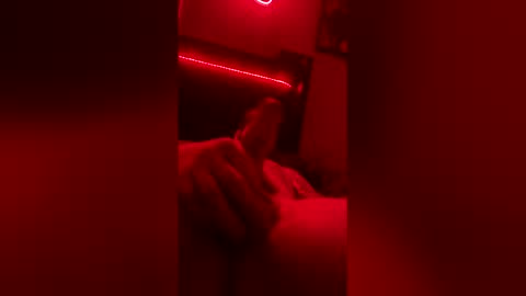 taylor1424 online show from 03.01.26