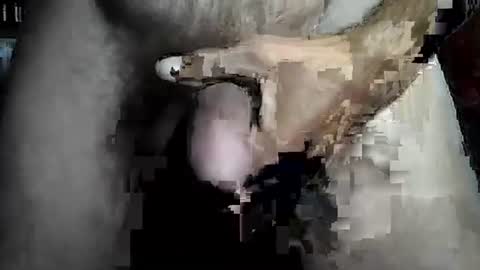 taylor3made online show from 02.22.26