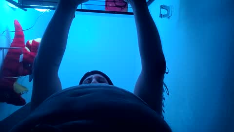 Snapshot of tboy833 chatting on 01.13.25 Luis online show from 01.13.25