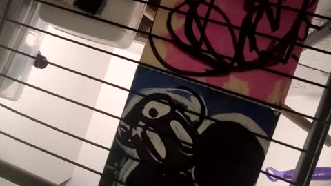 Snapshot of tboy833 chatting on 02.10.25 Luis online show from 02.10.25