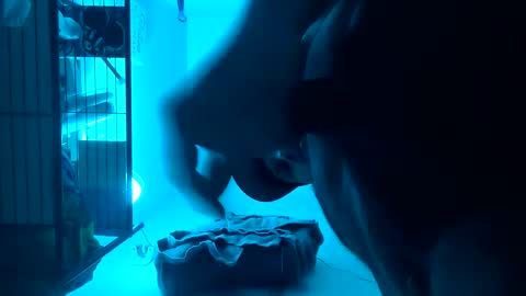 Snapshot of tboy833 chatting on 02.14.25 Luis online show from 02.14.25