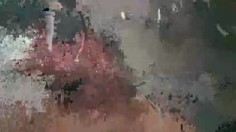 Snapshot of tboy833 chatting on 02.17.25 Luis online show from 02.17.25