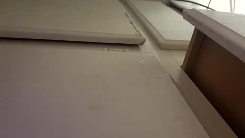 Snapshot of tboy833 chatting on 10.06.25 Luis online show from 10.06.25