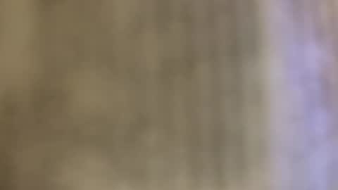 Snapshot of tboy833 chatting on 10.24.25 Luis online show from 10.24.25