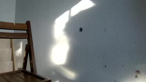 tec0vas online show from 12.30.24