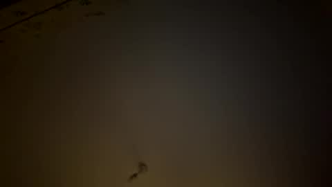 teecup4osk online show from 02.08.26