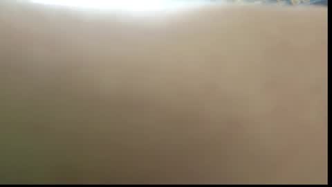 Ada  online show from 02.11.26