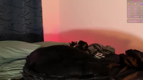 Teo online show from 03.01.25