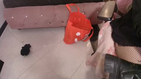 Terra Elowen online show from 12.21.25