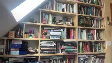 Terra Worship Findomme online show from 03.03.25