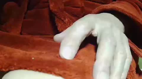 tetuo2 online show from 10.14.25