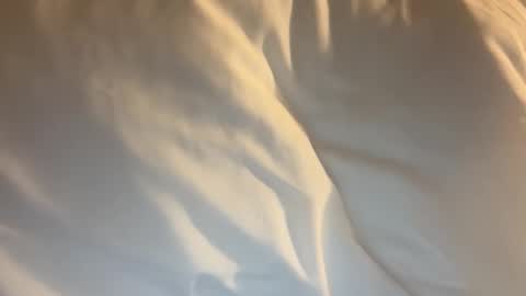 tevvdaren online show from 03.18.26