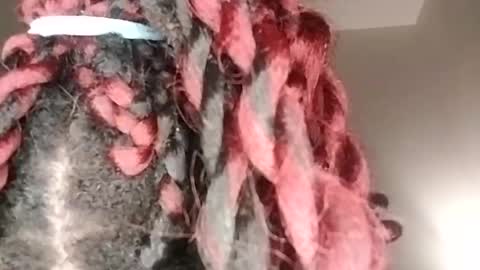 Snapshot of tgirlfairy chatting on 01.17.25 sexi lexi online show from 01.17.25