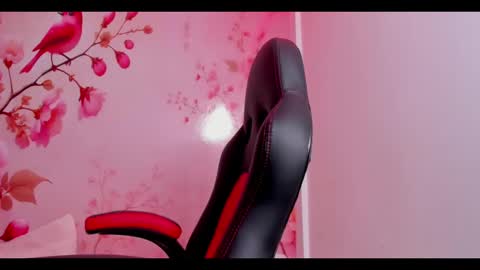 Snapshot of thais_waldrof chatting on 02.24.25 Andreina online show from 02.24.25